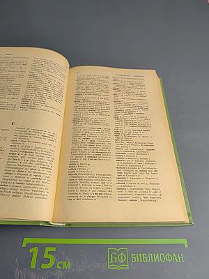 Итальянско-немецкий словарь