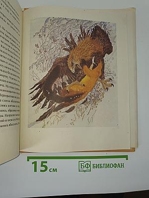 Золотая ригма