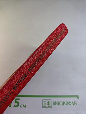 Репортаж с петлей на шее