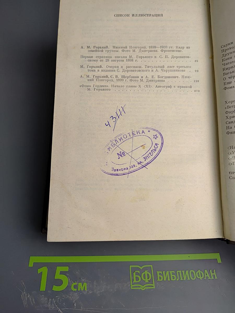Собрание сочинений. Том четвертый: Фома Гордеев. Рассказы, очерки, наброски, стихи (1897-1899)