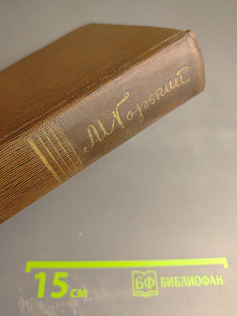 Собрание сочинений. Том четвертый: Фома Гордеев. Рассказы, очерки, наброски, стихи (1897-1899)