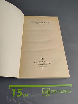 Хождение по мукам. Хмурое утро