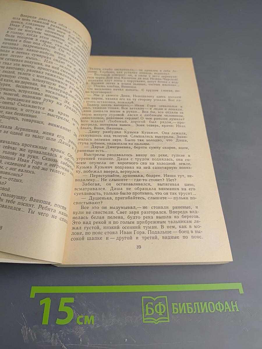 Хождение по мукам. Хмурое утро