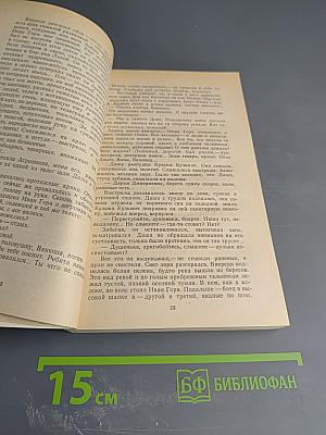 Хождение по мукам. Хмурое утро