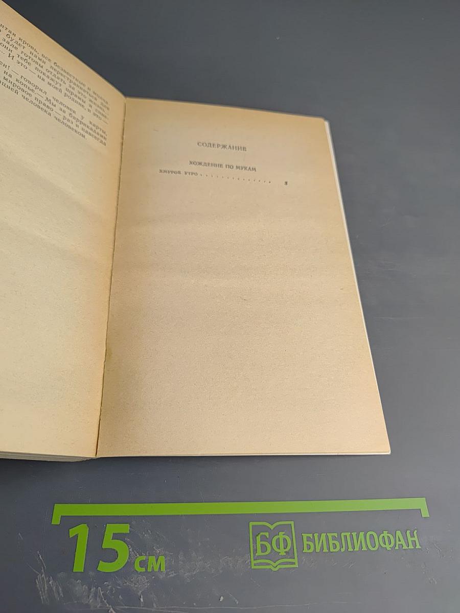 Хождение по мукам. Хмурое утро