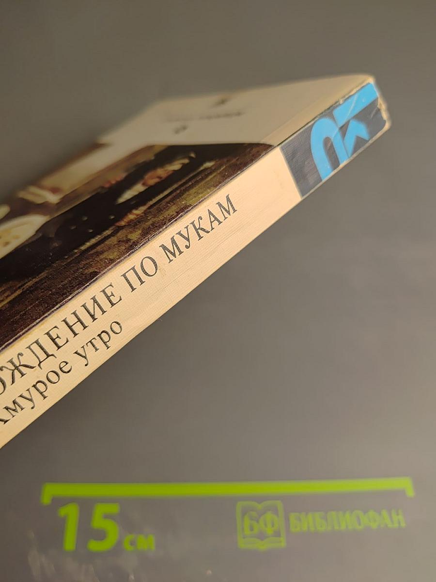 Хождение по мукам. Хмурое утро