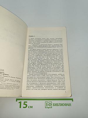 Сувенир, или Кукла на цепочке