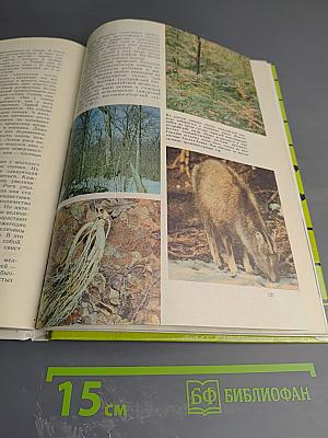 Заповедными тропами