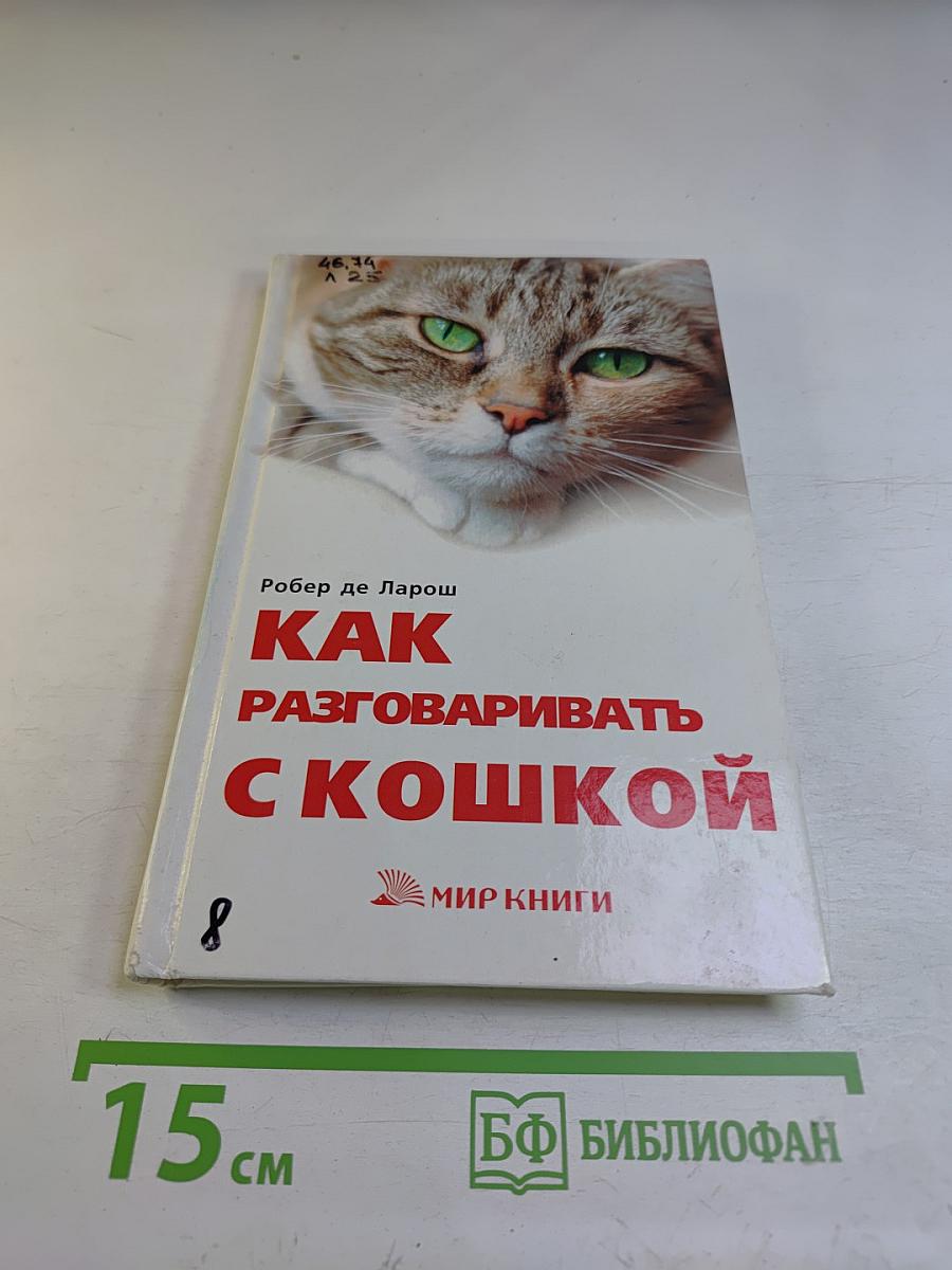 Как разговаривать с кошкой