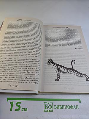 Как разговаривать с кошкой