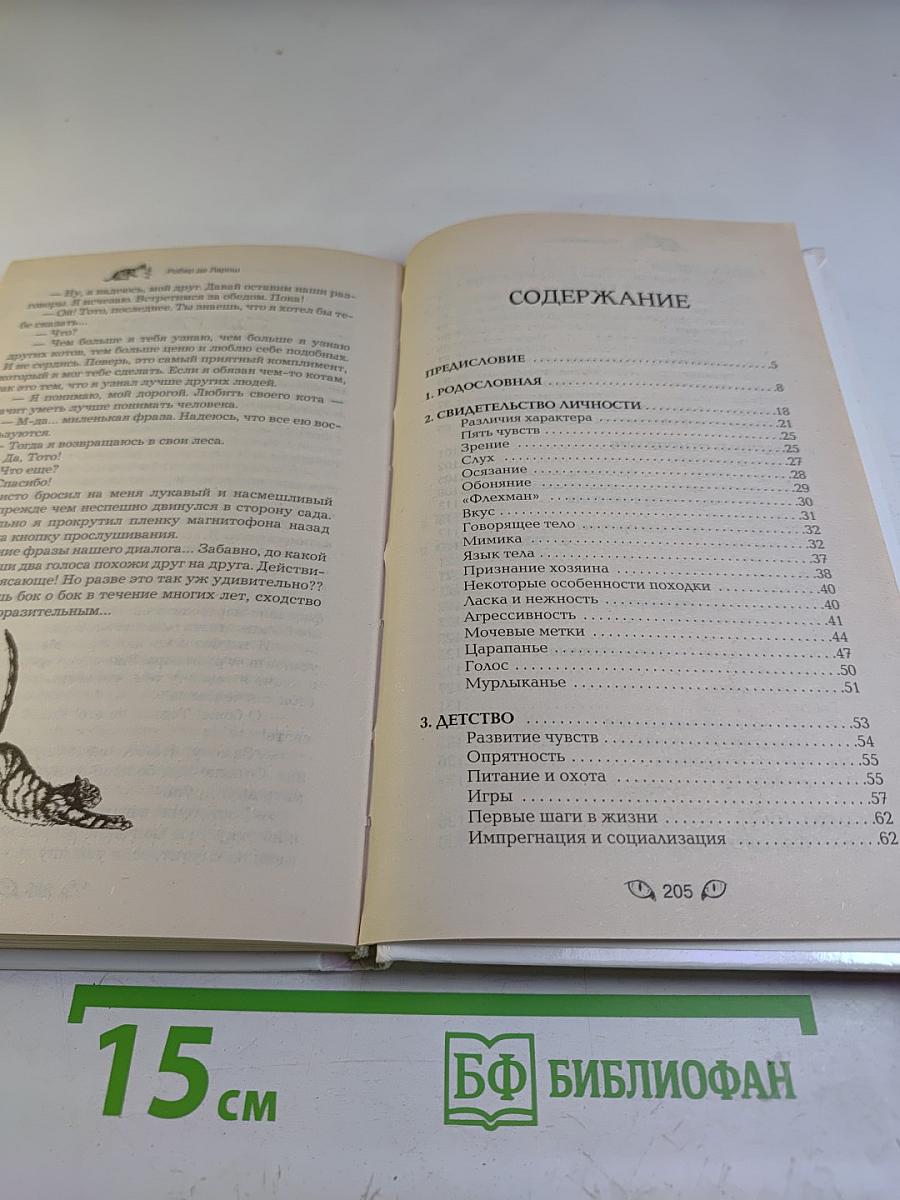 Как разговаривать с кошкой