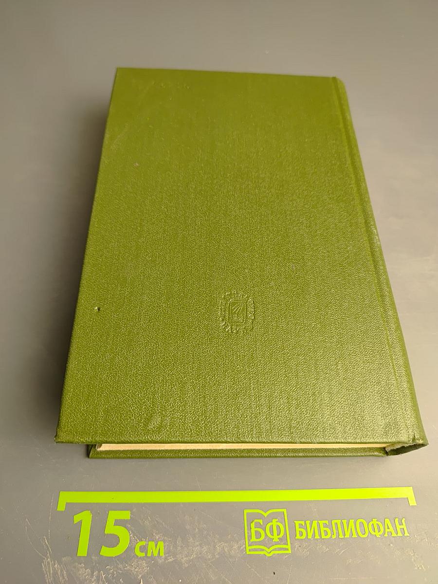 Полное собрание сочинений и писем в двадцати томах. Том четвертый. Поэмы 1858-1877 гг.