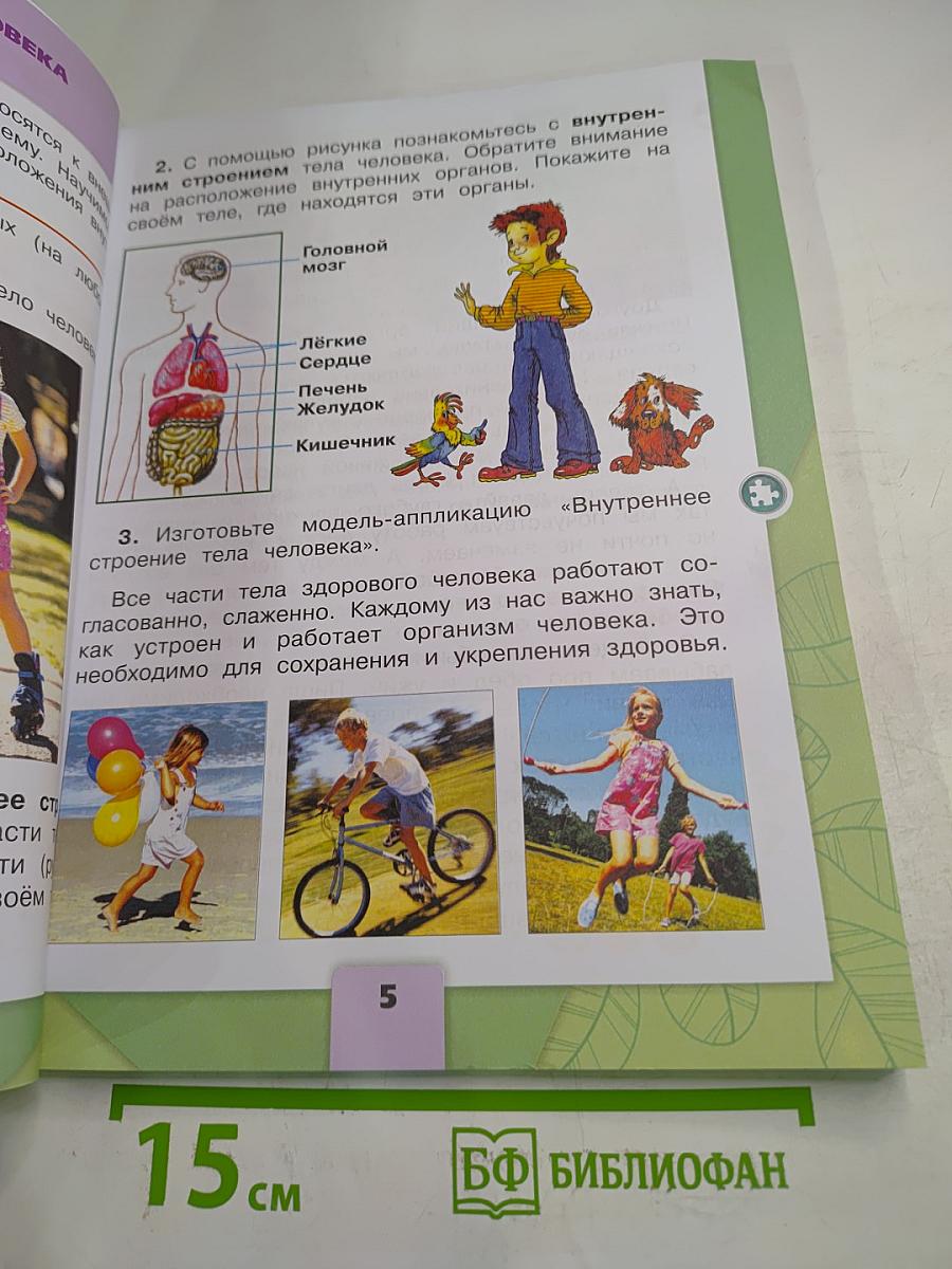 Окружающий мир 2 класс Часть 2