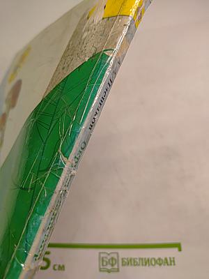 Окружающий мир 2 класс Часть 2