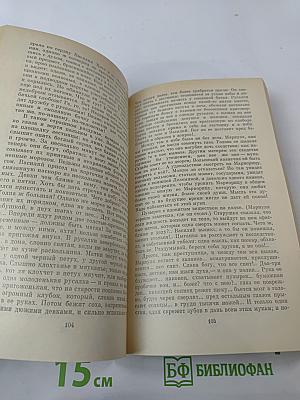 Ледяной дом