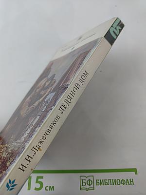 Ледяной дом