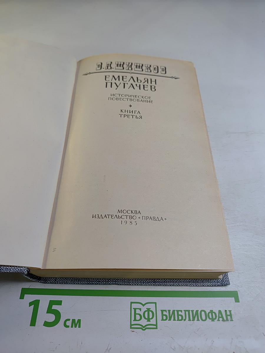 Емельян Пугачев. Книга третья