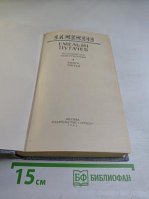 Емельян Пугачев. Книга третья