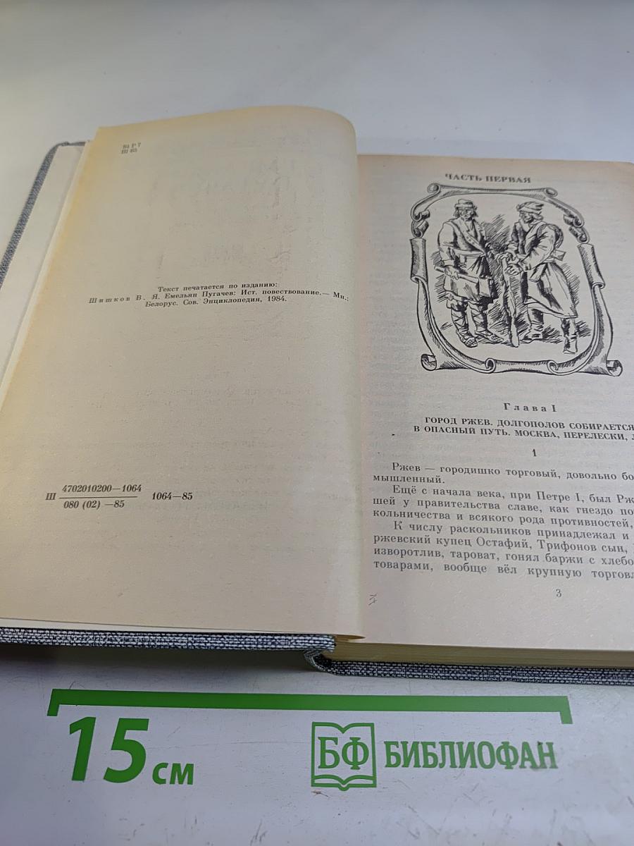 Емельян Пугачев. Книга третья