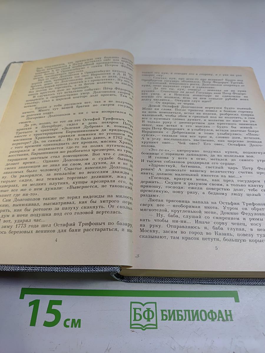 Емельян Пугачев. Книга третья