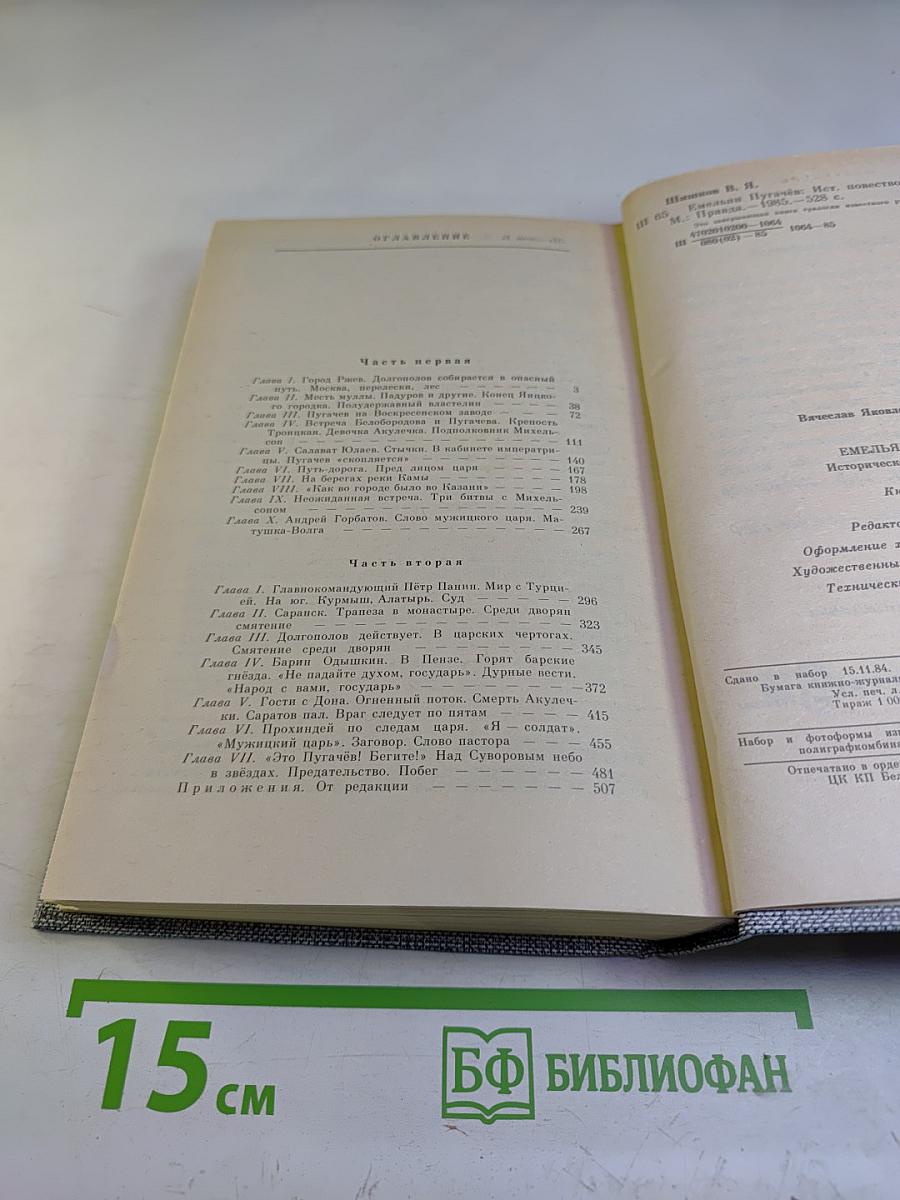 Емельян Пугачев. Книга третья