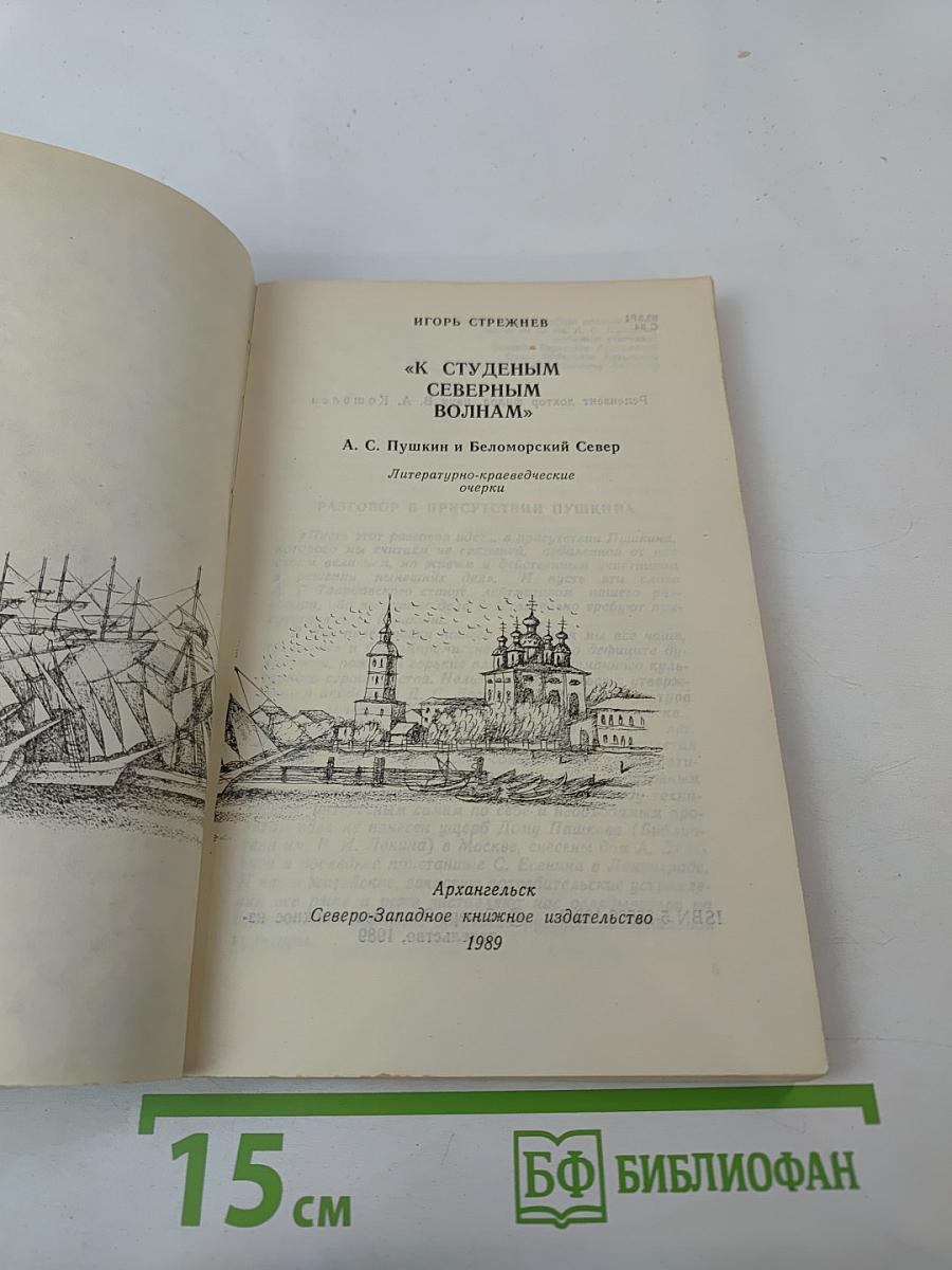 К студеным северным волнам: А. С. Пушкин и Беломорский Север. Литературно-краеведческие очерки