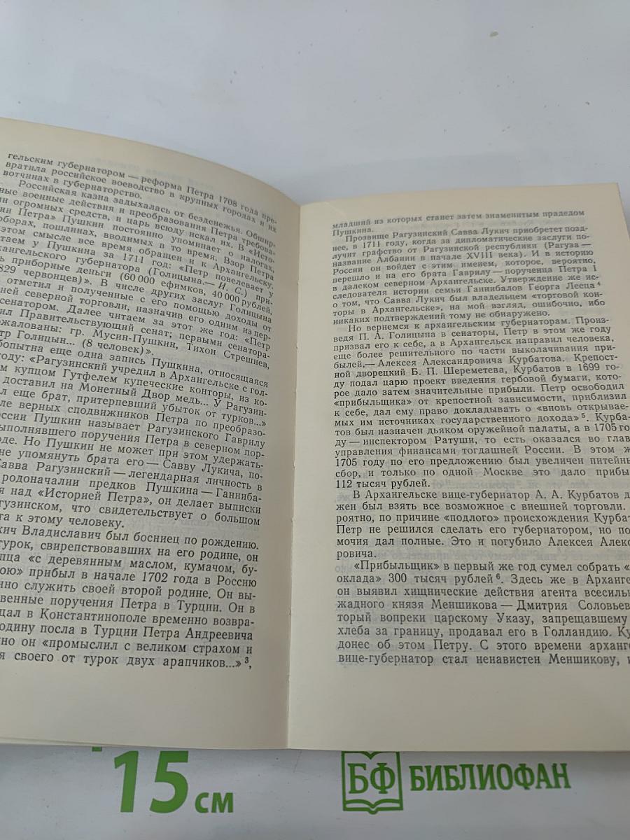 К студеным северным волнам: А. С. Пушкин и Беломорский Север. Литературно-краеведческие очерки