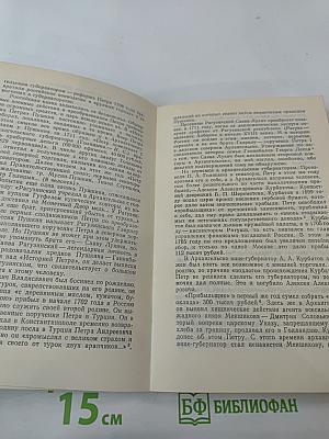 К студеным северным волнам: А. С. Пушкин и Беломорский Север. Литературно-краеведческие очерки
