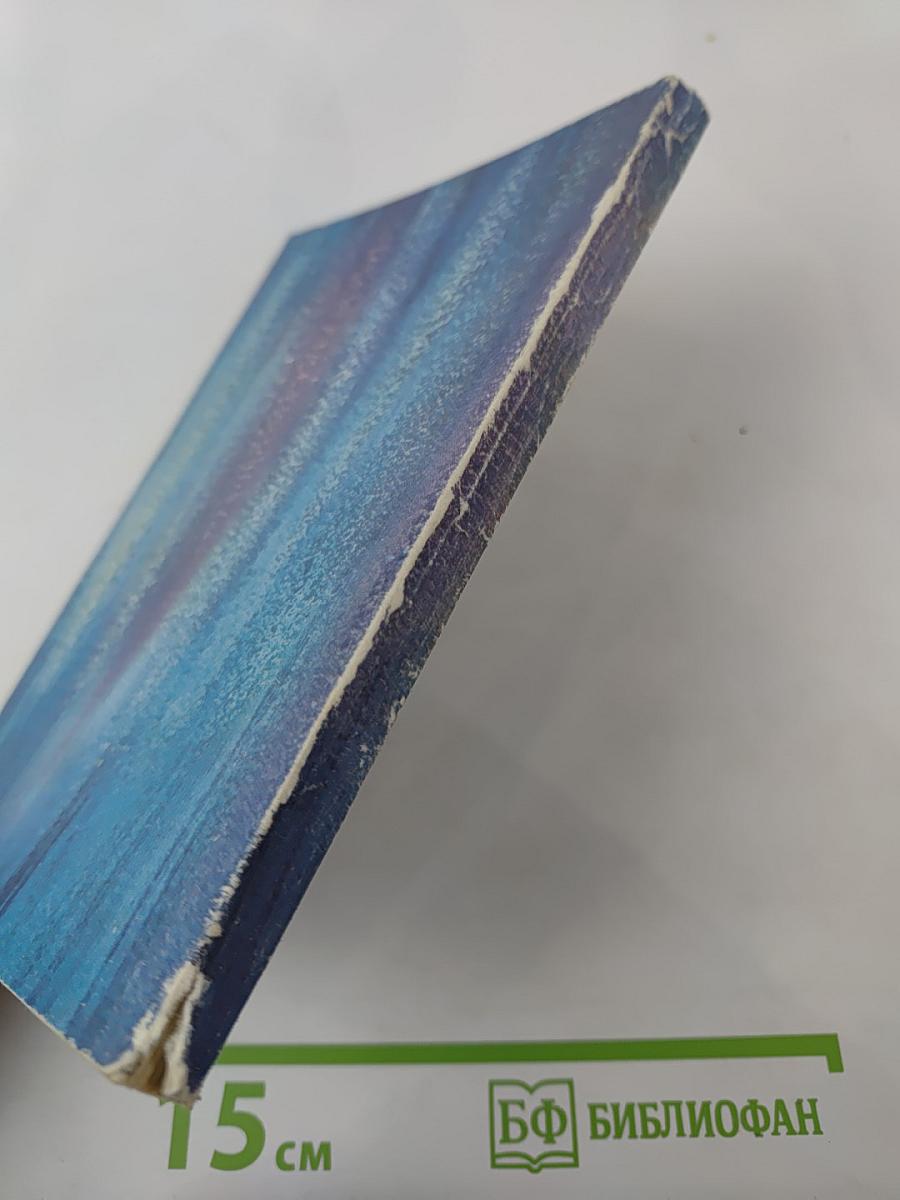 К студеным северным волнам: А. С. Пушкин и Беломорский Север. Литературно-краеведческие очерки