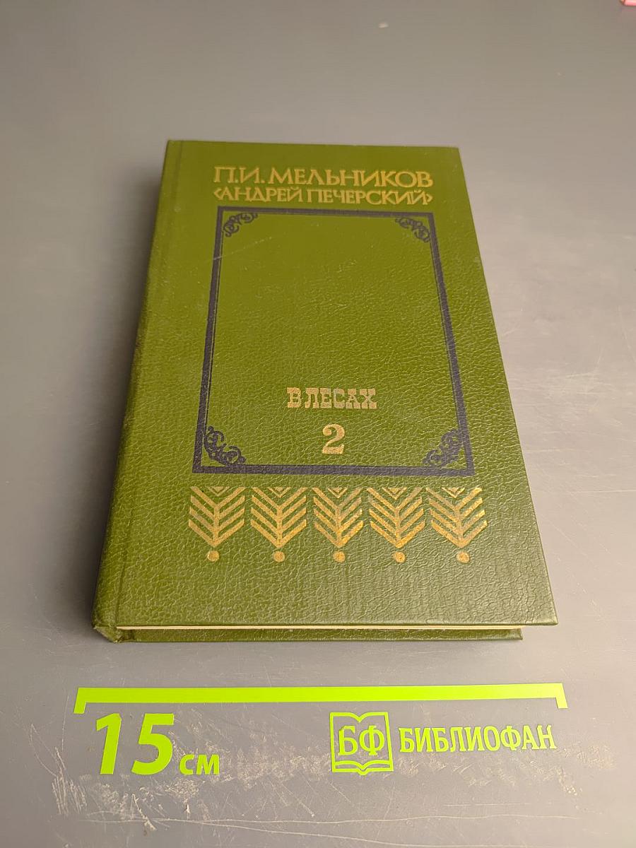 В лесах. Книга вторая