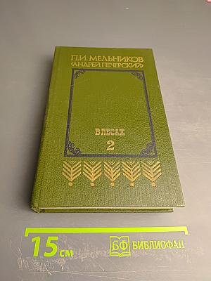 В лесах. Книга вторая