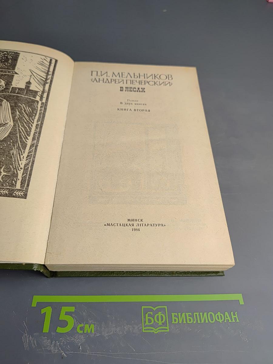 В лесах. Книга вторая