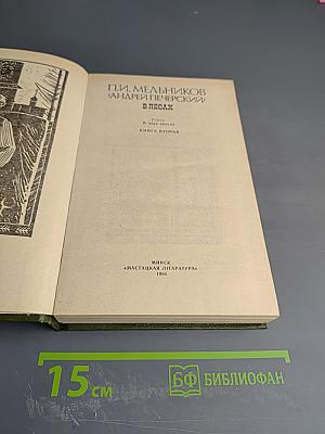 В лесах. Книга вторая