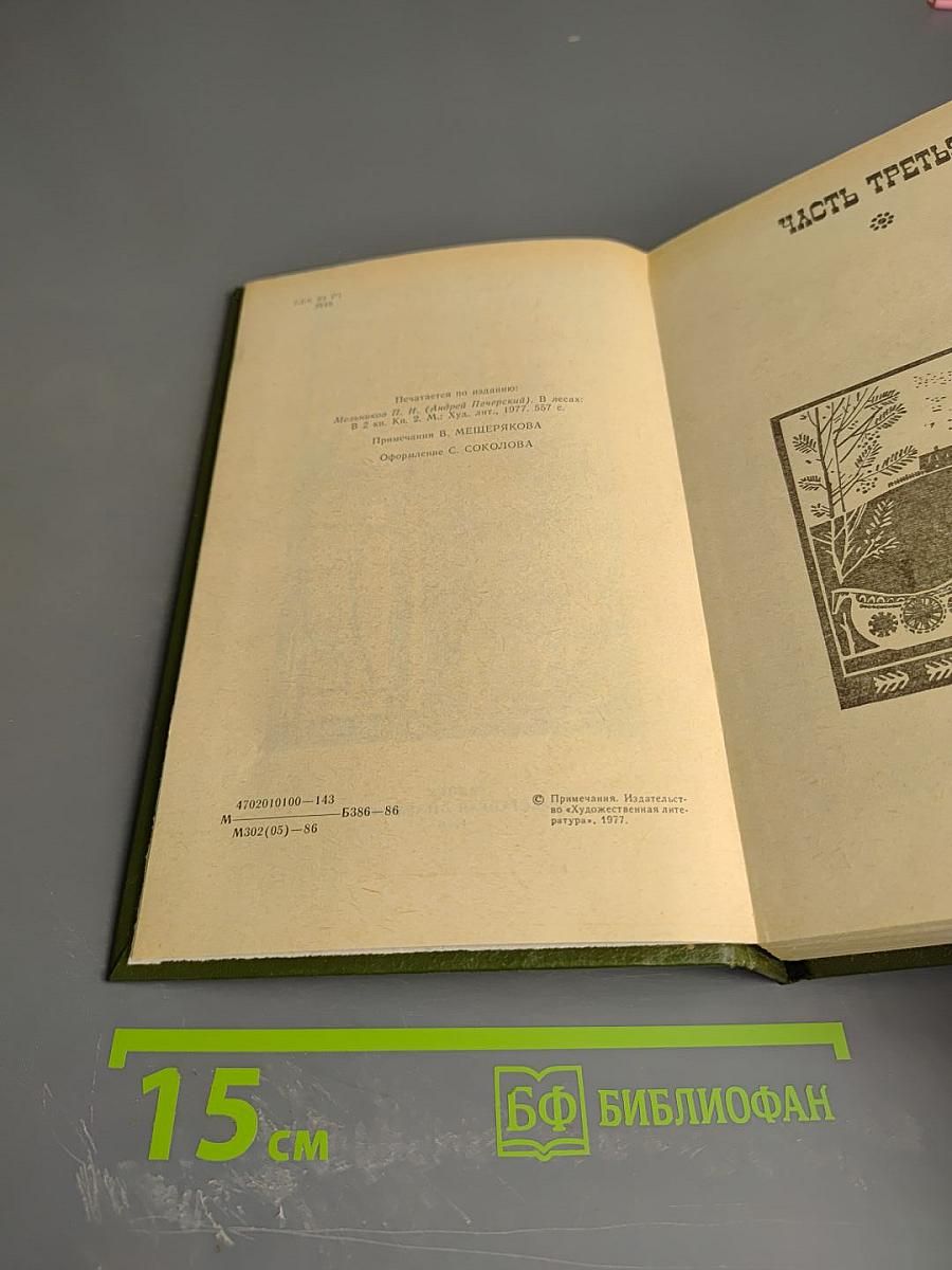 В лесах. Книга вторая