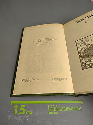 В лесах. Книга вторая