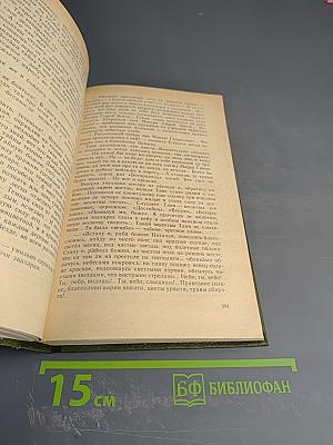 В лесах. Книга вторая