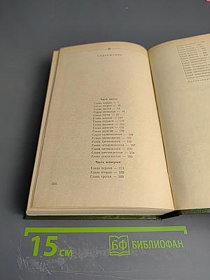 В лесах. Книга вторая