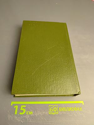 В лесах. Книга вторая