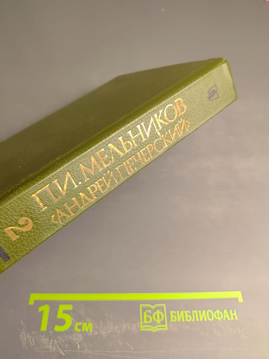 В лесах. Книга вторая