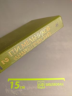 В лесах. Книга вторая