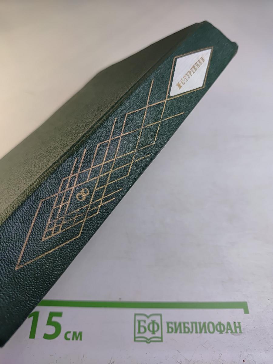 Собрание сочинений И. С. Тургенева. Том восьмой: Повести и рассказы 1870-1883, Стихотворения в прозе