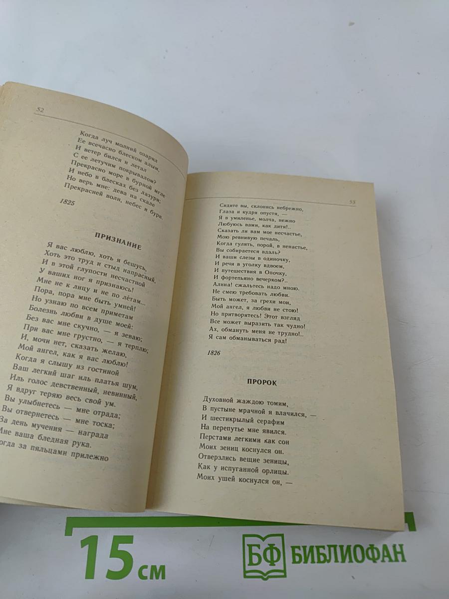 Русская лирика XIX века