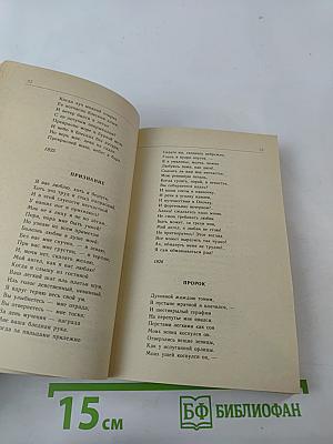 Русская лирика XIX века