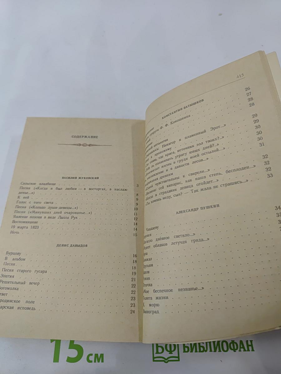 Русская лирика XIX века