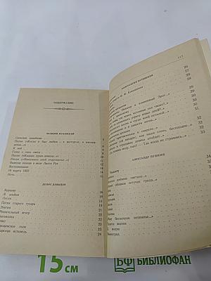 Русская лирика XIX века