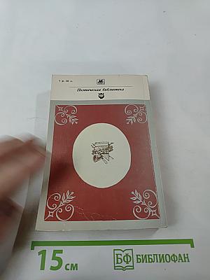 Русская лирика XIX века