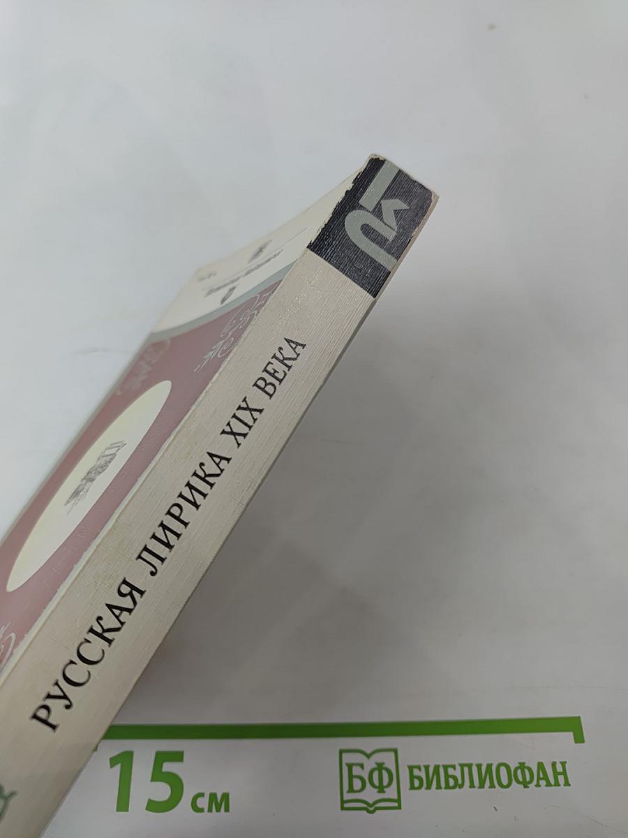 Русская лирика XIX века