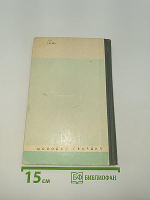 Бируни
