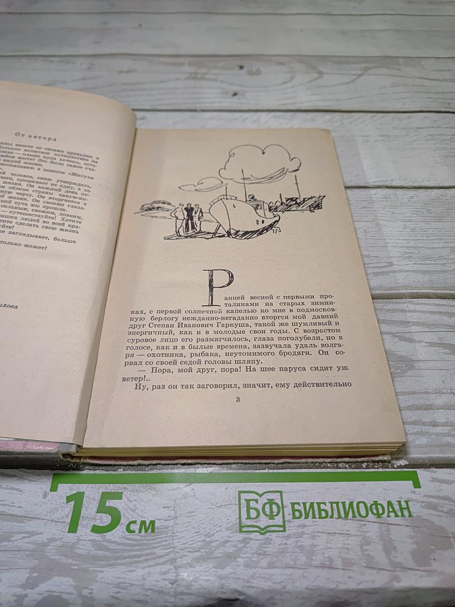 Жигули вы мои, Жигули