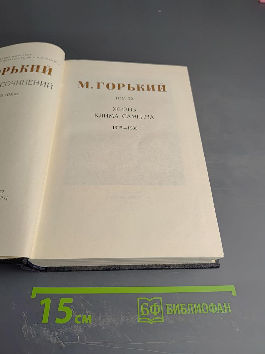 Жизнь Клима Самгина. Том 22